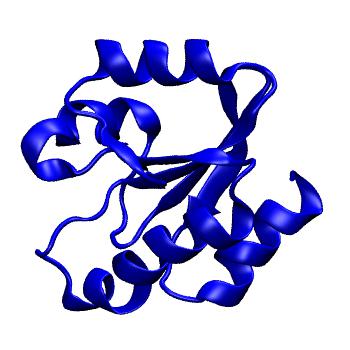 Structure preview of MoDEL 1AUC