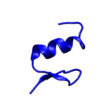 Structure preview of MoDEL 1ARD