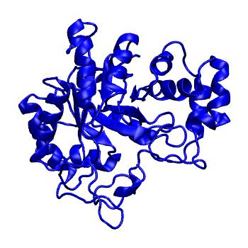 Structure preview of MoDEL 1AH0