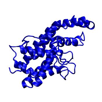 Structure preview of MoDEL 1AH7