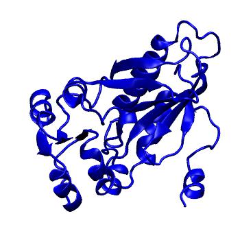 Structure preview of MoDEL 1AD2