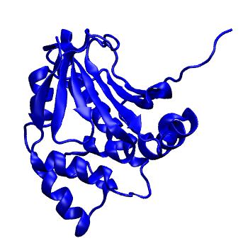 Structure preview of MoDEL 1A4H