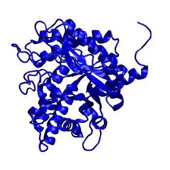 Structure preview of MoDEL 1ALD