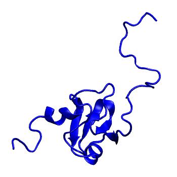 Structure preview of MoDEL 1ADN