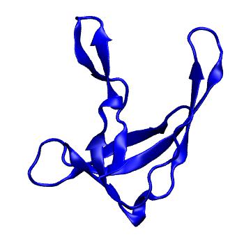 Structure preview of MoDEL 1AE2