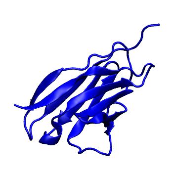 Structure preview of MoDEL 1AR2