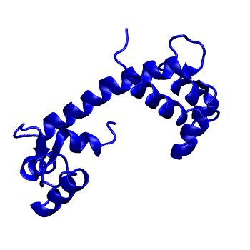 Structure preview of MoDEL 1AHR