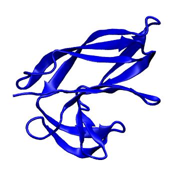 Structure preview of MoDEL 1ACX