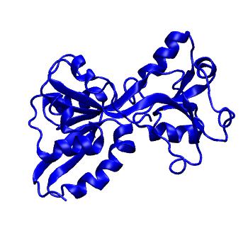 Structure preview of MoDEL 1AL3