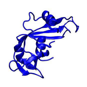 Structure preview of MoDEL 1ANG