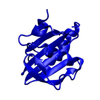 Structure preview of MoDEL 1A0K