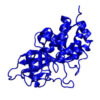 Structure preview of MoDEL 2A8B