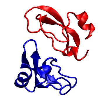 Structure preview of MoDEL 1AAP