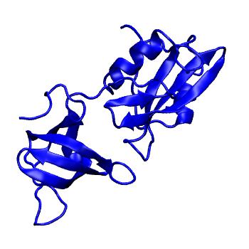 Structure preview of MoDEL 2ABL