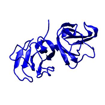 Structure preview of MoDEL 1A5D