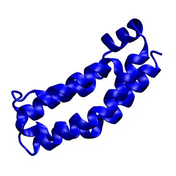 Structure preview of MoDEL 1A0B