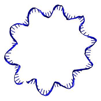 Structure preview of NAFlex v106Ct10