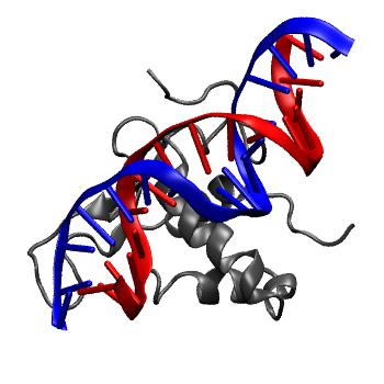 Structure preview of NAFlex FOXA3 crystal rep3