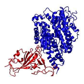 Structure preview of SARS spike receptor binding domain bound with Pangolin ACE2