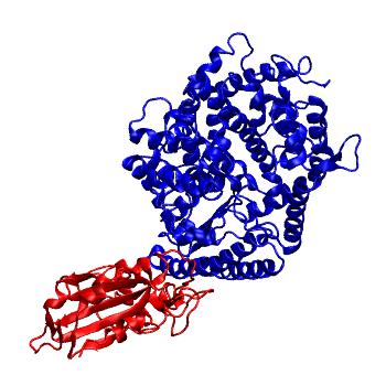 Structure preview of SARS-CoV-2 spike receptor binding domain bound with SIN3 ACE2 (REAL)