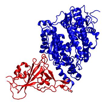 Structure preview of SARS-CoV-2 spike receptor binding domain bound with human ACE2