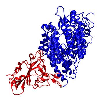 Structure preview of SARS-CoV-2 spike receptor binding domain bound with FERR ACE2