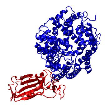 Structure preview of SARS-CoV-2 spike receptor binding domain bound with Pangolin ACE2