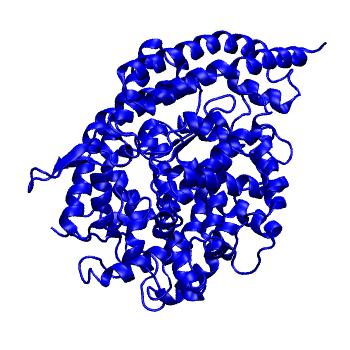 Structure preview of FERR Angiotensin-converting enzyme 2 (ACE2)