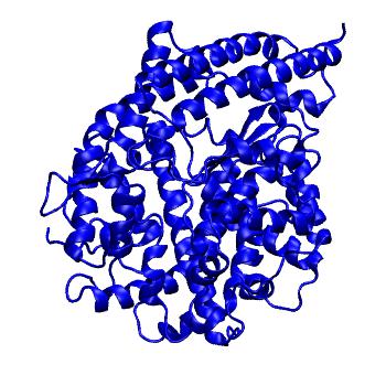 Structure preview of MACR Angiotensin-converting enzyme 2 (ACE2)