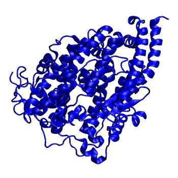 Structure preview of PUS Angiotensin-converting enzyme 2 (ACE2)