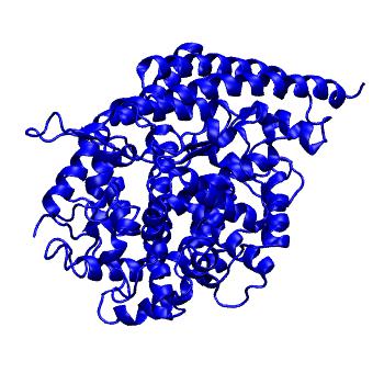 Structure preview of SIN1 Angiotensin-converting enzyme 2 (ACE2)