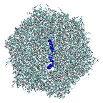 Structure preview of All-atom molecular dynamics simulations of SARS-CoV-2 envelope protein E in the monomeric form, C1 mix