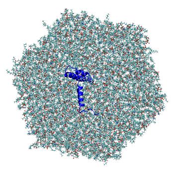 Structure preview of All-atom molecular dynamics simulations of SARS-CoV-2 envelope protein E in the monomeric form, C2 mix