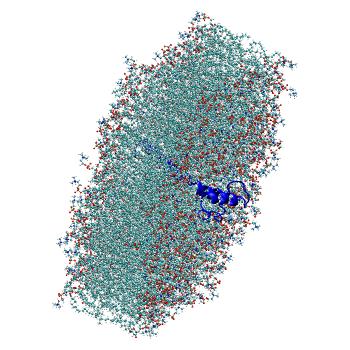 Structure preview of All-atom molecular dynamics simulations of SARS-CoV-2 envelope protein E in the monomeric form, C4 popc