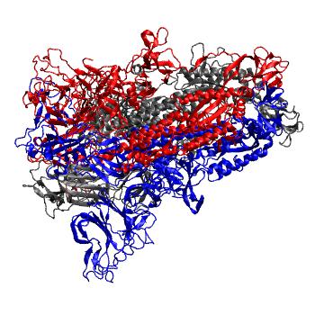 Structure preview of MD simulations of trimeric SARS-Cov2 spike protein ectodomain in explicit solvent; apo; closed