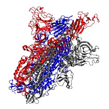 Structure preview of MD simulations of trimeric SARS-Cov2 spike protein ectodomain in explicit solvent; apo; open