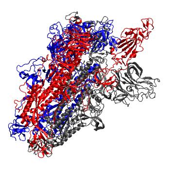 Structure preview of MD simulations of trimeric SARS-Cov2 spike protein ectodomain in explicit solvent; dexamethasone; open