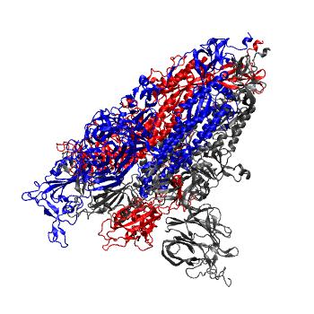 Structure preview of Spike mutation A222V; glycans simple