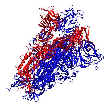 Structure preview of Steered MD, RaTG13 RBD closing