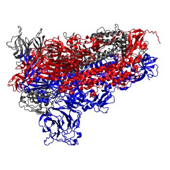 Structure preview of Steered MD, RaTG13 RBD opening