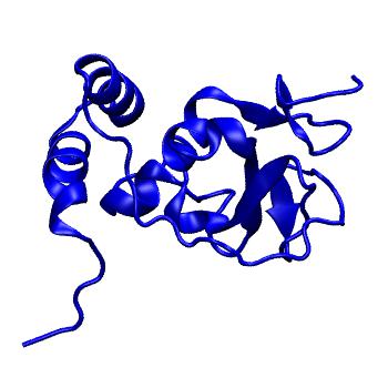 Structure preview of Folding@home simulations of nsp10