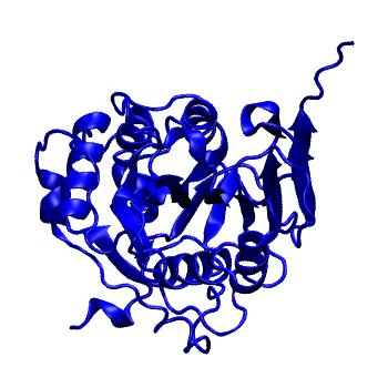 Structure preview of Folding@home simulations of nsp16