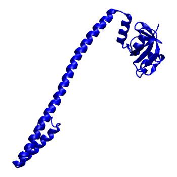 Structure preview of Folding@home simulations of nsp8