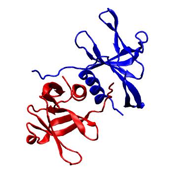 Structure preview of Folding@home simulations of nsp9