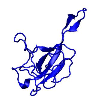 Structure preview of Folding@home simulations of the nucleoprotein monomer