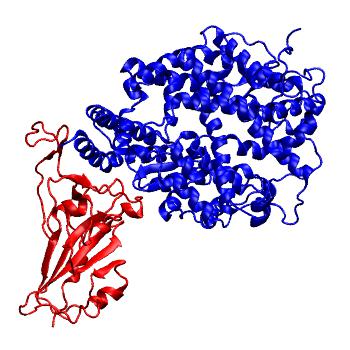 Structure preview of BANAL-236-CoV RBD and Human ACE2 complex