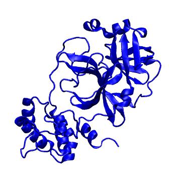 Structure preview of Folding@home molecular dynamics simulations of Diamond Light Source / XChem X-ray structures of small molecule inhibitors of the SARS-CoV-2 main protease from the COVID Moonshot; project 13433, run 0