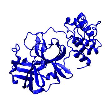Structure preview of Folding@home molecular dynamics simulations of Diamond Light Source / XChem X-ray structures of small molecule inhibitors of the SARS-CoV-2 main protease from the COVID Moonshot; project 13433, run 102