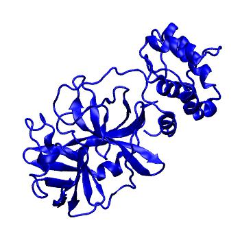 Structure preview of Folding@home molecular dynamics simulations of Diamond Light Source / XChem X-ray structures of small molecule inhibitors of the SARS-CoV-2 main protease from the COVID Moonshot; project 13433, run 104