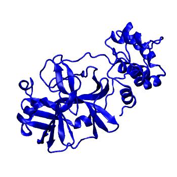 Structure preview of Folding@home molecular dynamics simulations of Diamond Light Source / XChem X-ray structures of small molecule inhibitors of the SARS-CoV-2 main protease from the COVID Moonshot; project 13433, run 106